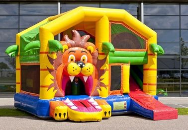 Дом прыжока льва шлямбура комбинированный с замком крыши/малыша Mutiplay Overdekt Leeuw оживлённый