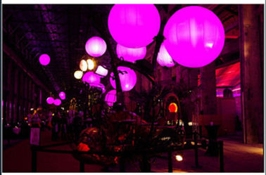 Кристаллический цветастый воздушный шар водить света Celling раздувной для коммерчески случая