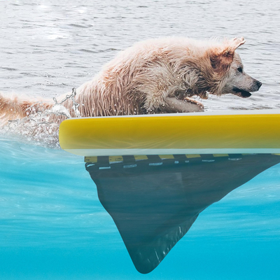 Сверхбольшая надувная водная пандус для лодок, собачий бассейн надувная легкая собачная пандус мягкая лестница для собак, проложная платформа