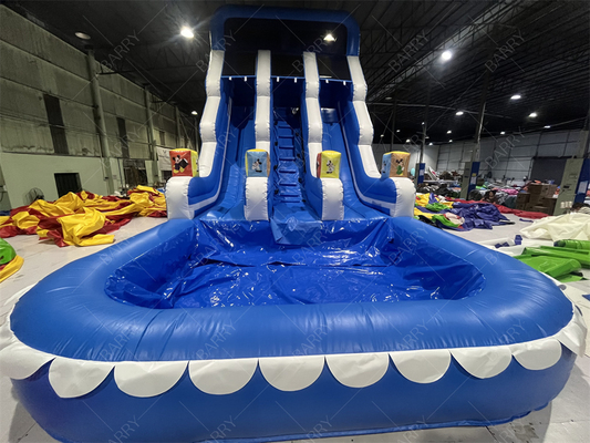 Парк развлечений Внешний сад Большой ребенок Надувные двойные водные горки для подростков Загородный двор