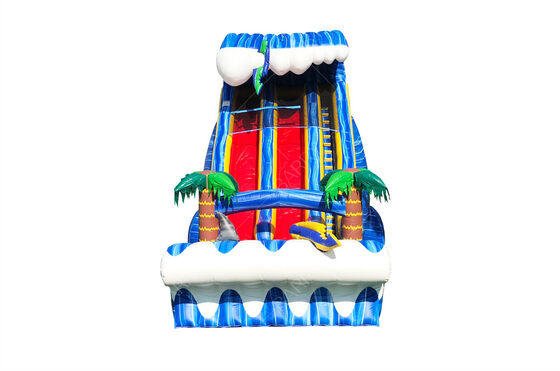 Коммерческий класс Большая открытая задняя часть двора 24 фута SHARK SIGHTED ДВОЙНАЯ ПОЛОСА Горка для детей и взрослых