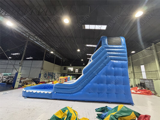 Коммерчески голубая волна ягнится скольжение ПВК задворка раздувное с бассейном для домашней пользы