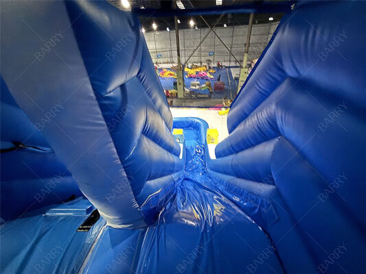 Коммерчески голубая волна ягнится скольжение ПВК задворка раздувное с бассейном для домашней пользы