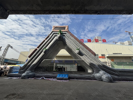 Коммерческий гигантский надувный водный горка, тропическая тематика двойной полосы влажный/сухой горка для парков развлечений и фестивалей