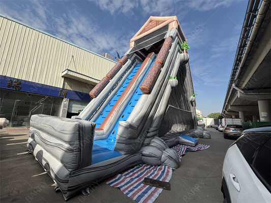 Коммерческий гигантский надувный водный горка, тропическая тематика двойной полосы влажный/сухой горка для парков развлечений и фестивалей